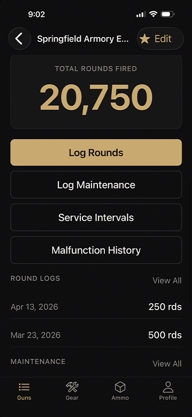 Armorer gun detail screen
